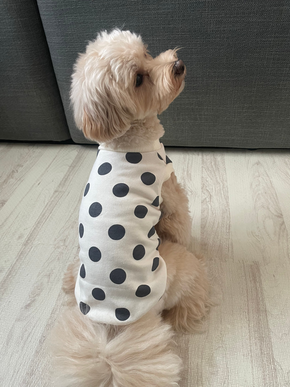 犬服！選べる3色⚫️ドット柄タンク⭐︎XS.S.M.DXS.DS.DM 2枚目の画像