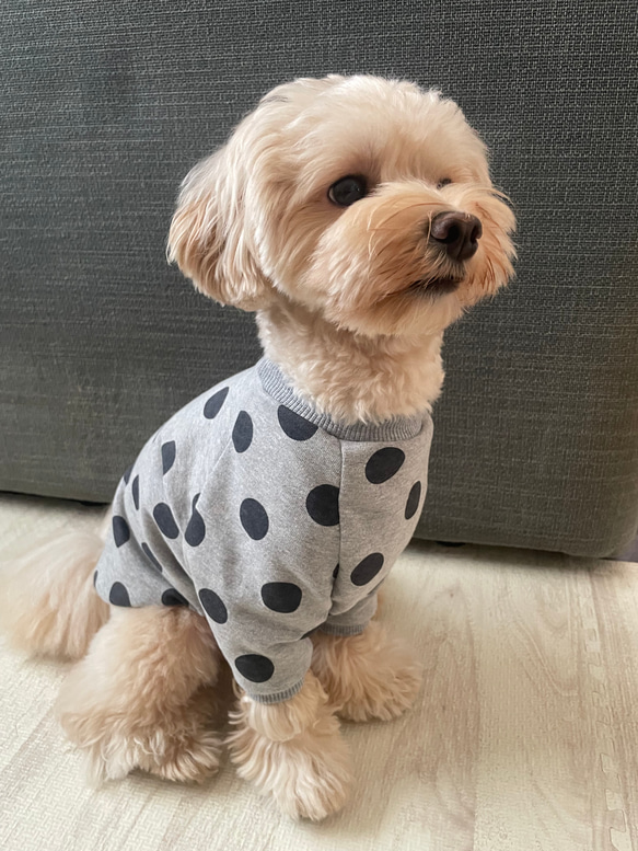 犬服‼︎選べる3色⚫️ドット柄袖あり⭐︎XS.S.M.DXS.DS.DM 3枚目の画像