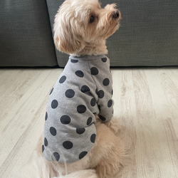 犬服‼︎選べる3色⚫️ドット柄袖あり⭐︎XS.S.M.DXS.DS.DM 2枚目の画像