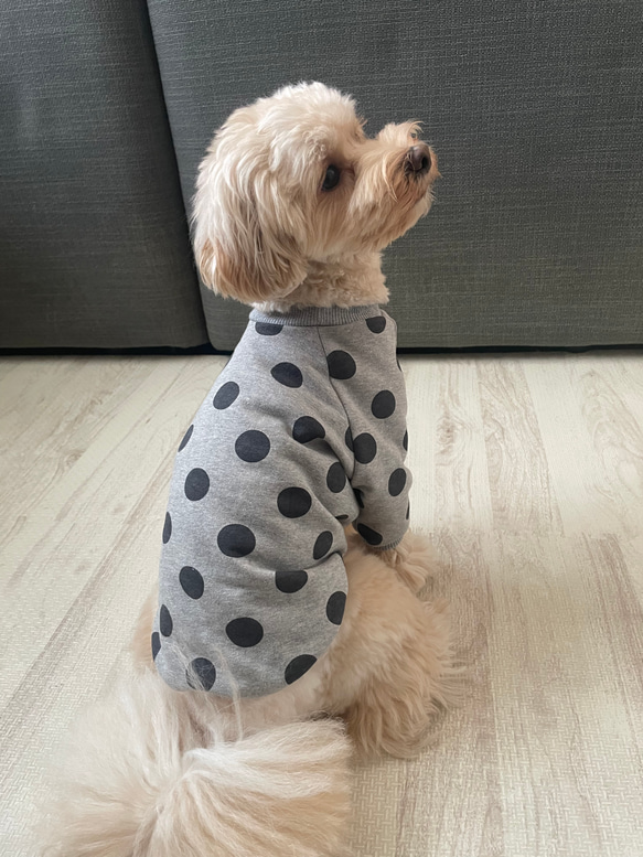 犬服‼︎選べる3色⚫️ドット柄袖あり⭐︎XS.S.M.DXS.DS.DM 2枚目の画像