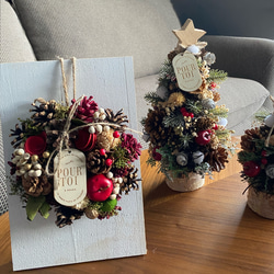 木の実&花材セット 木の実 クリスマス no.4 ドライフラワー