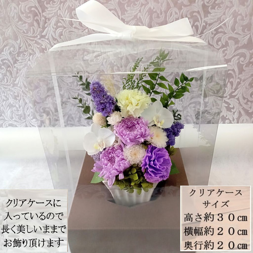 胡蝶蘭＆輪菊 仏花 プリザーブドフラワー お供え 供花 プリザーブド