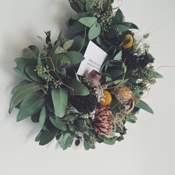 Botanical wreath 6 popolus ユーカリポポラスリース リース Creams