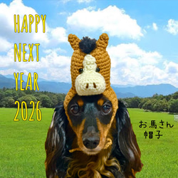 トリミングチョーカー ペット服・アクセサリー ゆきちゃん 通販