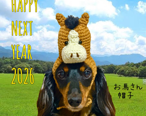 2026年干支　午年　ユニコーン　ワンコ用帽子 2026年干支 午年 ユニコーン ワンコ用帽子 2026午年🐴馬の帽子・