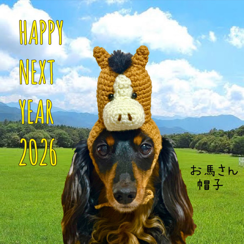 お馬さん帽子☆2026午年《犬猫ペット用》 ペット服・アクセサリー kapo