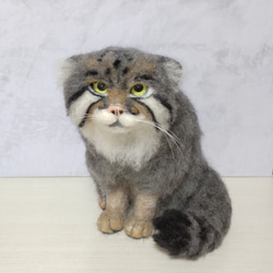 羊毛フェルト】スナネコ【砂漠の天使】 羊毛フェルト パステル