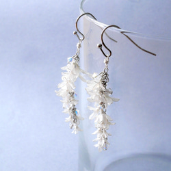 秋香る銀木犀　イヤリング/ピアス　ディップアート　ディップフラワー　 1枚目の画像