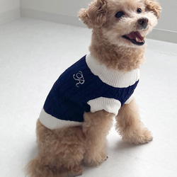 おこりんぼうのハリネズミケージ L904545 ハウス・小屋 A.C.E