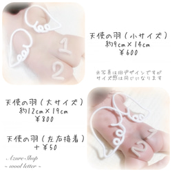 ウールレター マンスリーフォトセット 月齢フォト 4枚目の画像