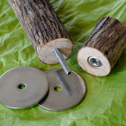 とまり木 樹皮付き天然木 ドラゴンウッド Mサイズ｜BirdARCADIA公式 中型インコ用 4枚目の画像