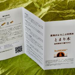 とまり木 樹皮付き天然木 ドラゴンウッド Mサイズ｜BirdARCADIA公式 中型インコ用 5枚目の画像