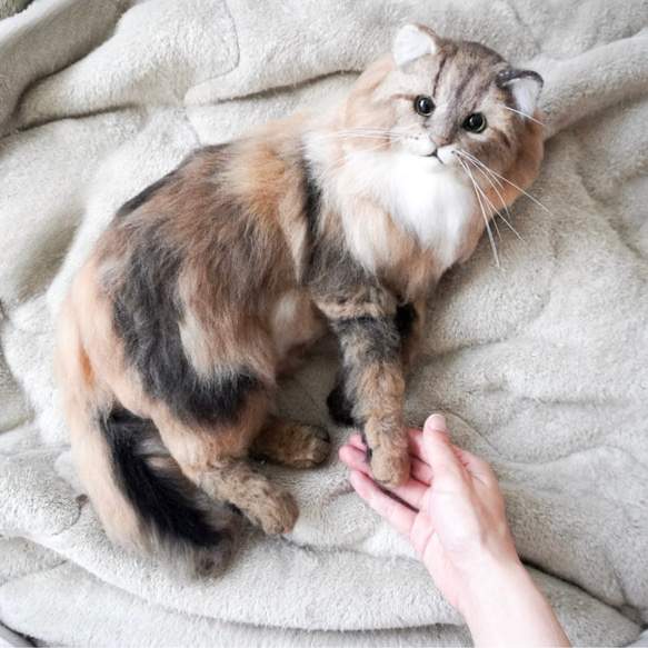 羊毛フェルト・額猫ちゃん 羊毛フェルト 猫 額入り ねこ 羊毛フェルト Lani ♡ 通販 9314576