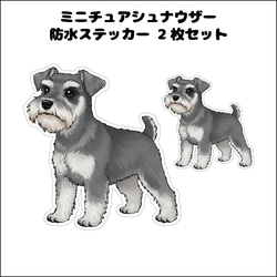 ST-171 ミニチュアシュナウザーの防水ステッカー 2枚セット シール