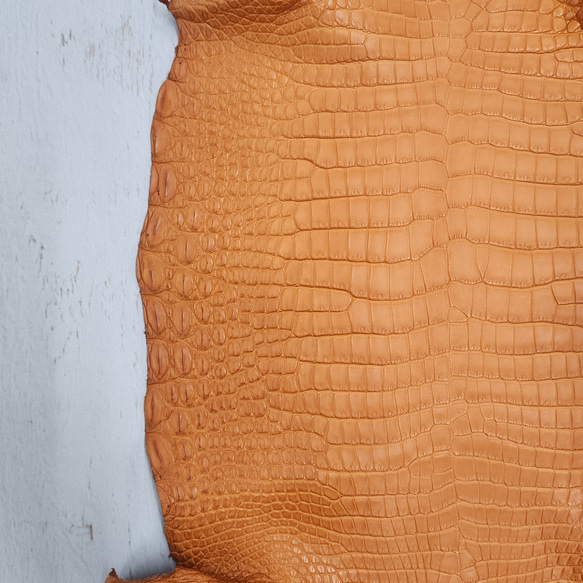 ワニ革 クロコ 半艶マット  オレンジブラウン　No.C008839 11枚目の画像