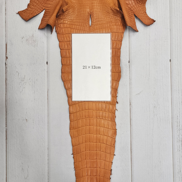 ワニ革 クロコ 半艶マット  オレンジブラウン　No.C008839 9枚目の画像