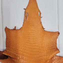 ワニ革 クロコ 半艶マット  オレンジブラウン　No.C008839 3枚目の画像