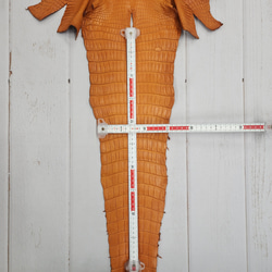 ワニ革 クロコ 半艶マット  オレンジブラウン　No.C008839 7枚目の画像