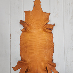 ワニ革 クロコ 半艶マット  オレンジブラウン　No.C008839 1枚目の画像