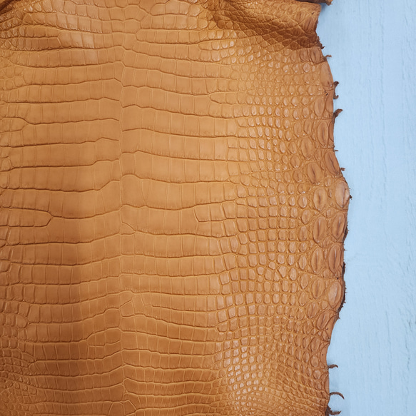 ワニ革 クロコ 半艶マット  オレンジブラウン　No.C008839 12枚目の画像