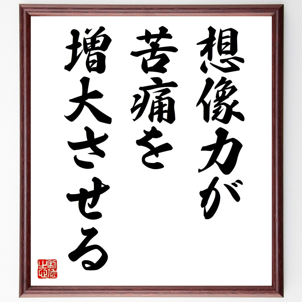 名言「想像力が苦痛を増大させる」手書き書道色紙額／受注後の毛筆直筆（V9400）