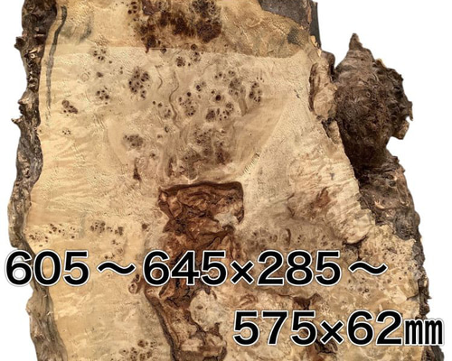 C-529 ポプラ コブ 木材 一枚板 板 DIY 材料 無垢板 木工 工作 家具