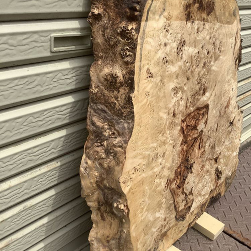 C-529 ポプラ コブ 木材 一枚板 板 DIY 材料 無垢板 木工 工作 家具