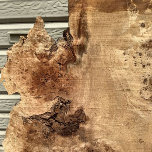 C-529 ポプラ コブ 木材 一枚板 板 DIY 材料 無垢板 木工 工作 家具