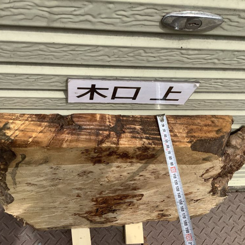 C-529 ポプラ コブ 木材 一枚板 板 DIY 材料 無垢板 木工 工作 家具