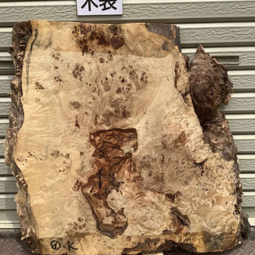 C-529 ポプラ コブ 木材 一枚板 板 DIY 材料 無垢板 木工 工作 家具