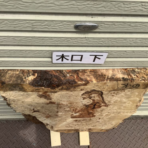 C-529 ポプラ コブ 木材 一枚板 板 DIY 材料 無垢板 木工 工作 家具