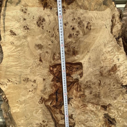 C-529 ポプラ コブ 木材 一枚板 板 DIY 材料 無垢板 木工 工作 家具