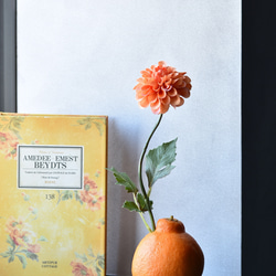 再販 人気 青りんご メモスタンド▫️フェイクグリーン・フェイク多肉植物 アレンジ タニクグリーンアップル！？ 青りんごと多肉植物 フェイク