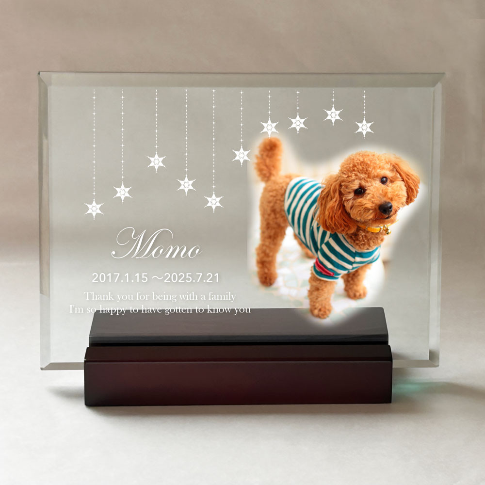 ペット位牌 スクエア型ガラス楯 「星とトモダチ」写真1枚印刷 ペット位牌 ペット供養 ペット仏壇 ペットメモリアル