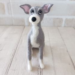 ジャックラッセルテリア お座り 羊毛フェルト manahata 通販 12696570