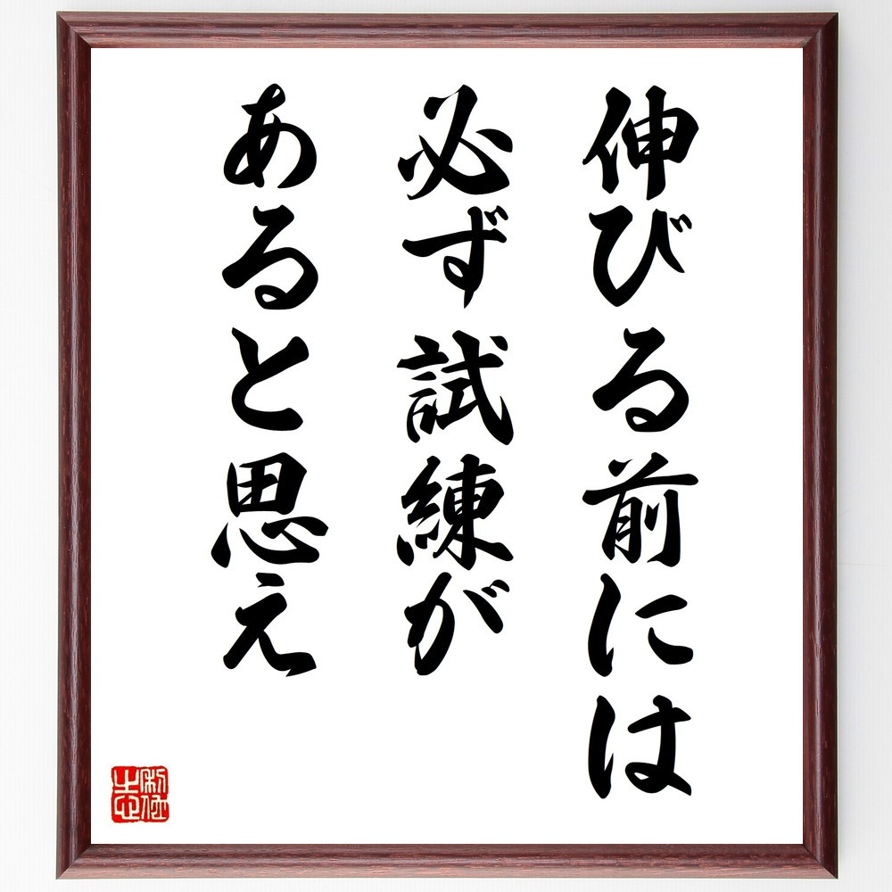 名言「伸びる前には、必ず試練があると思え」手書き書道色紙額／受注後の毛筆直筆（V9835）