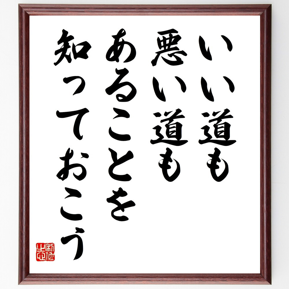 名言「いい道も悪い道もあることを知っておこう」手書き書道色紙額／受注後の毛筆直筆（V9915）