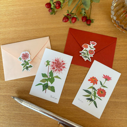 ♦️♦️♦️♦️月の花 ♦️1月から12月のセット♦️12冊セットお得 1月頃の花ポストカードセット ポストカード tomocollage 通販