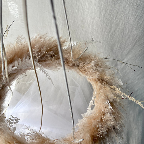 パンパスグラスのフライングリース＊*Mサイズφ28cm リース Chêne 通販