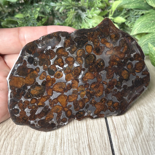 宇宙の芸術品とも呼ばれる希少な隕石/パラサイト隕石（セリコ隕石