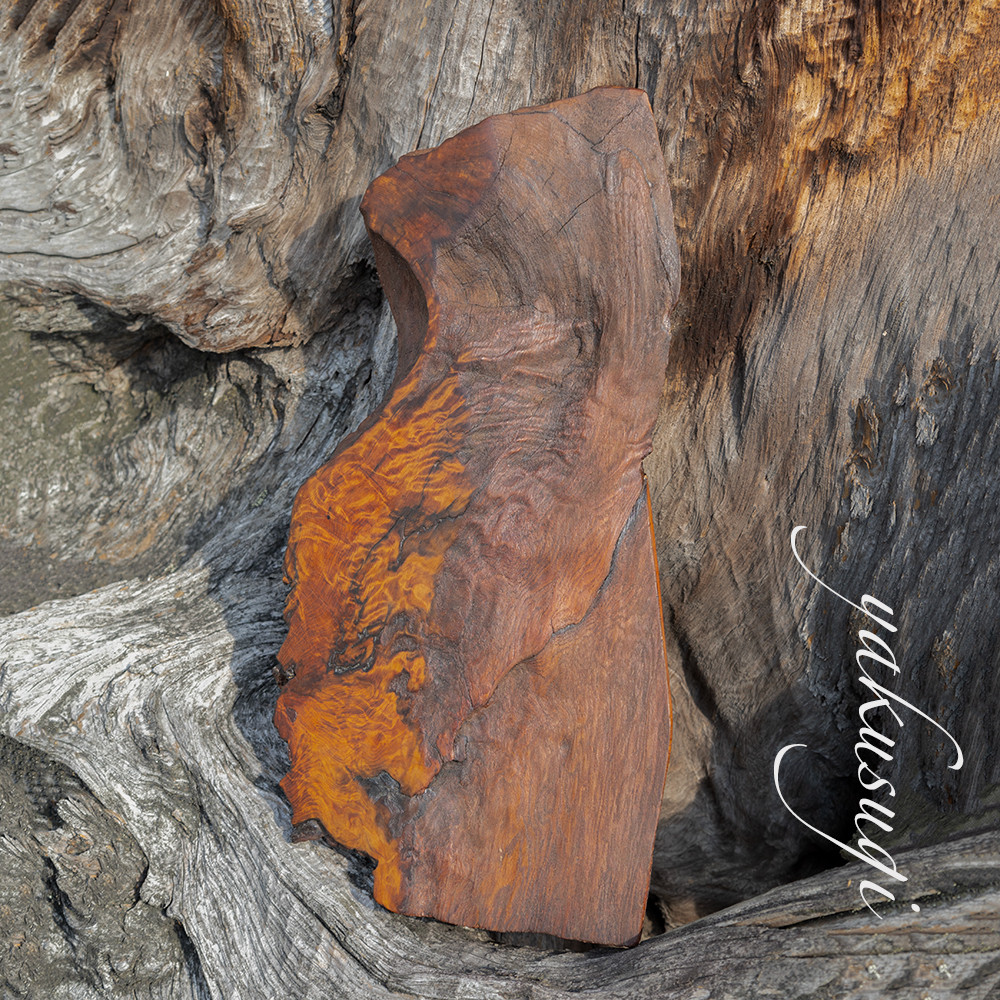 【横幅41cm】樹種：屋久杉虎瘤 敷台 拭き漆仕上げ / 敷板,板材,虎杢