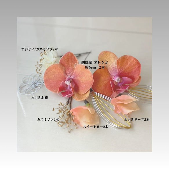 オレンジ胡蝶蘭/