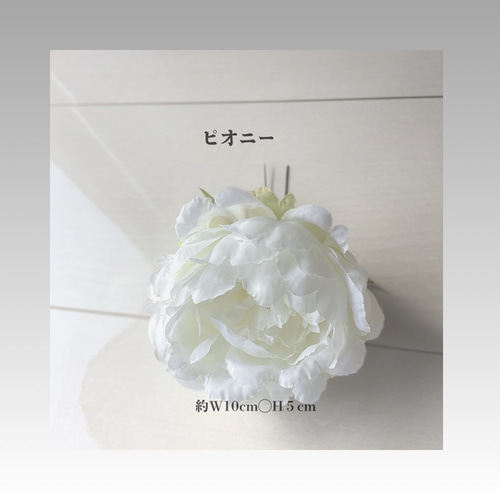 オレンジ胡蝶蘭/