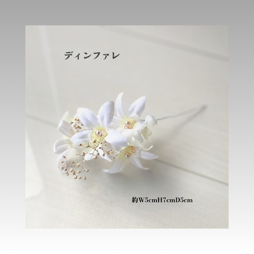オレンジ胡蝶蘭/