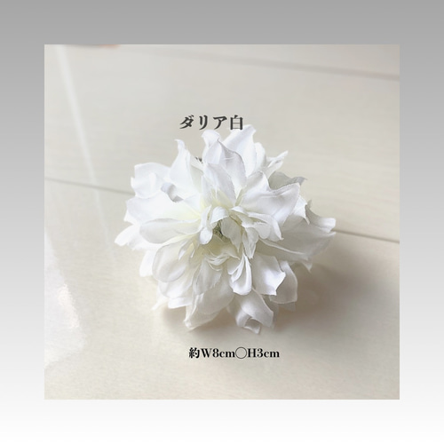 オレンジ胡蝶蘭/