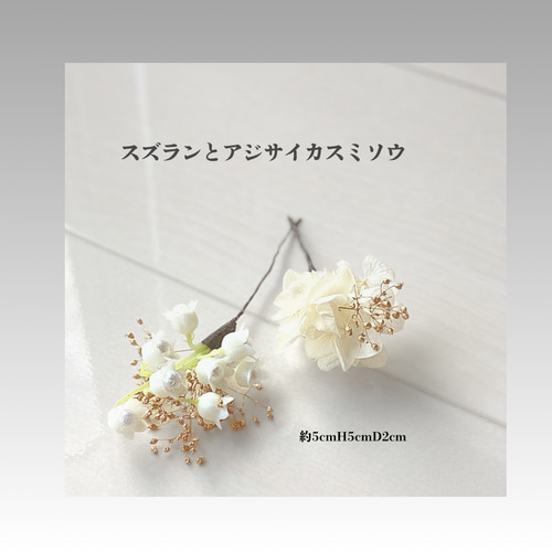 オレンジ胡蝶蘭/