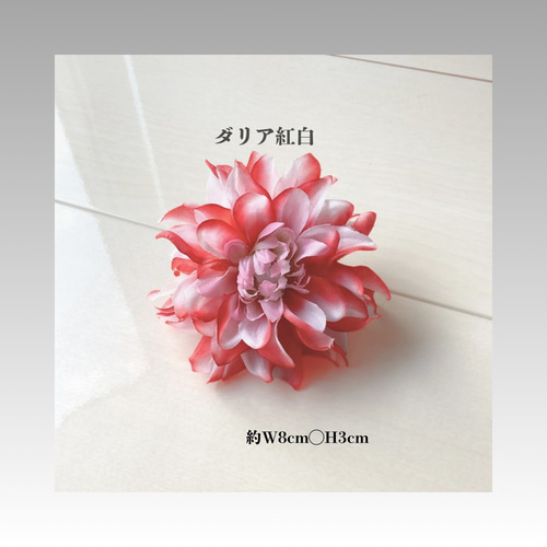 オレンジ胡蝶蘭/