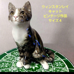ウィンスタンレイキャット（ケンジントンキャット）サイズ4の
