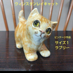 ウィンスタンレイキャット（ケンジントンキャット）白いペルシャ猫