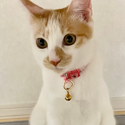 うちの子オーダー 猫とネームor猫とお花 手刺繍のフレーム その他